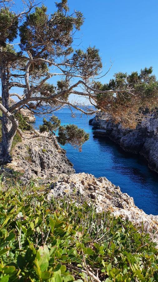 Villa Sirena Cala'N Blanes  Kültér fotó